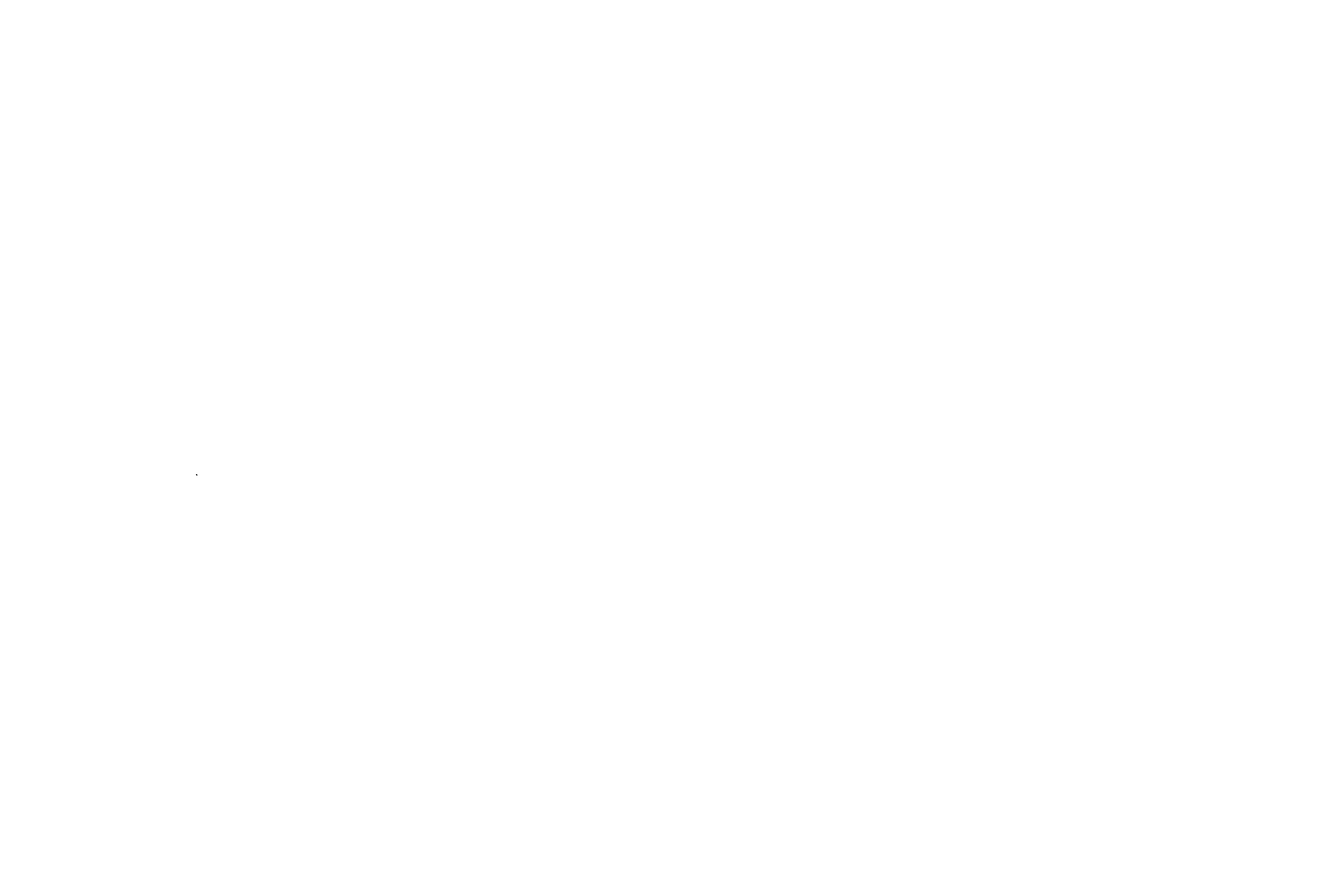Fei Wyatt